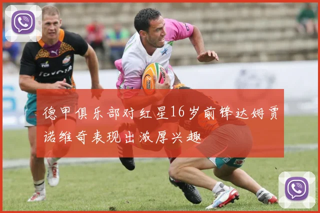 德甲俱乐部对红星16岁前锋达姆贾诺维奇表现出浓厚兴趣