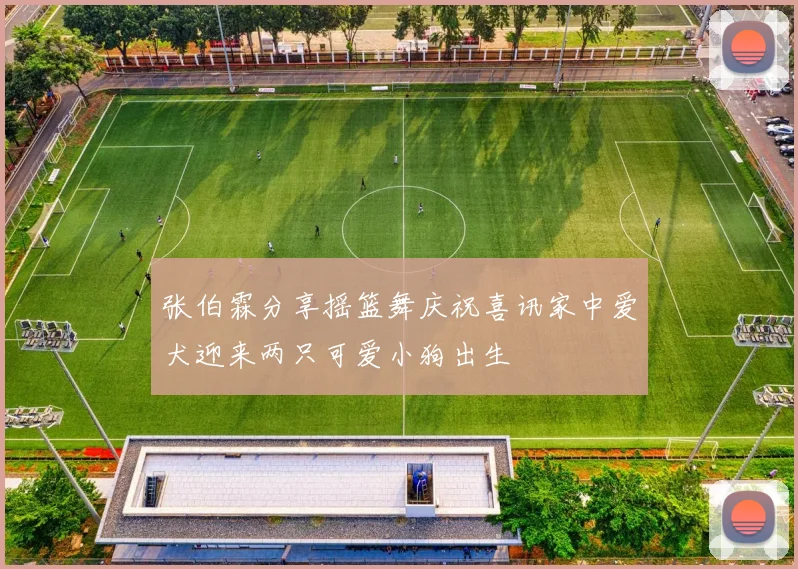 张伯霖分享摇篮舞庆祝喜讯家中爱犬迎来两只可爱小狗出生