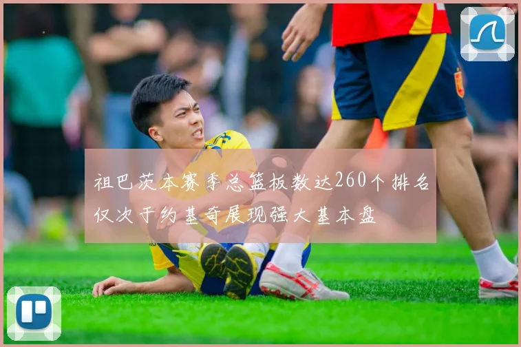 祖巴茨本赛季总篮板数达260个排名仅次于约基奇展现强大基本盘