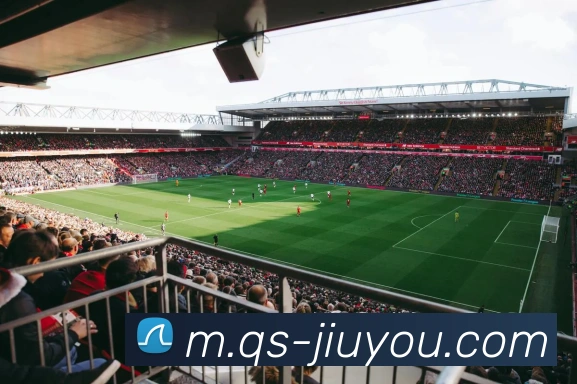 App Interface Preview