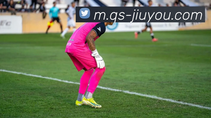 九游体育APP 封面图